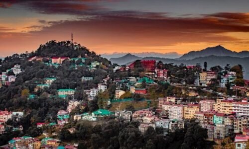 Shimla