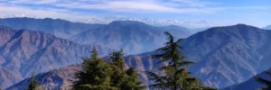 Dhanaulti Day Trip